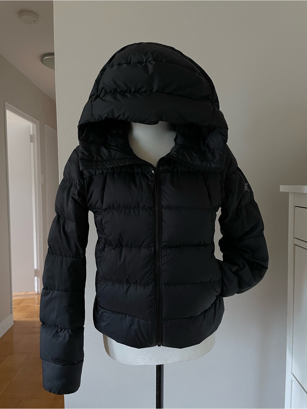 Arcteryx Thorium Puffer Jacket